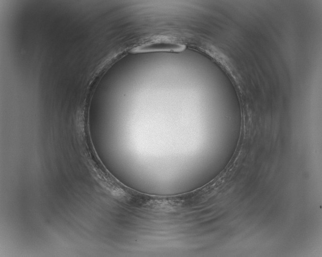 X0000073460297200608111517