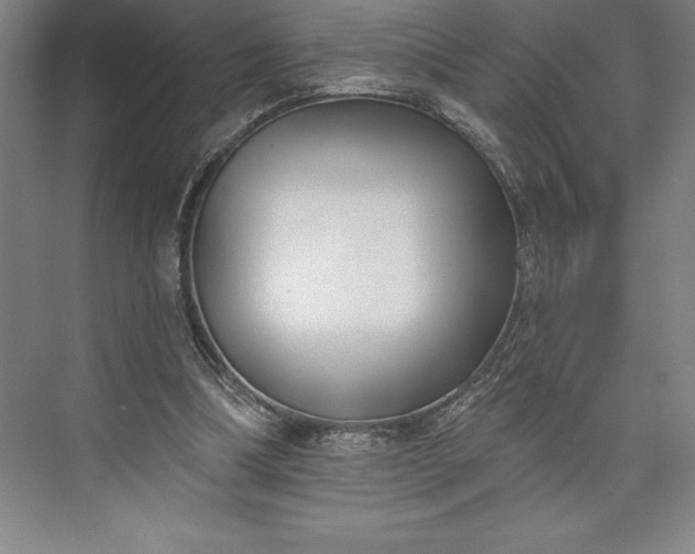 X0000073460298200608111517