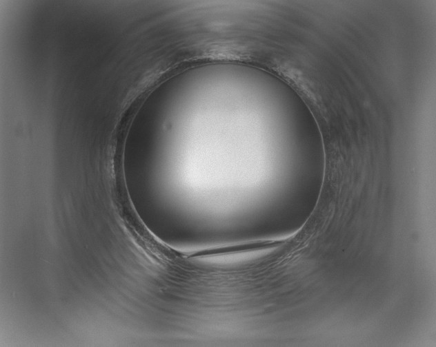 X0000073460299200608111517