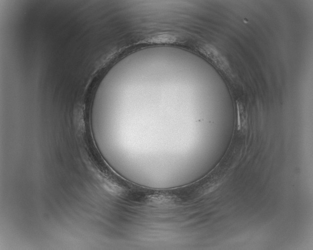 X0000073460300200608111517