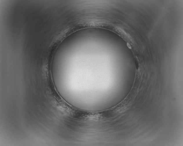 X0000073460306200608111517