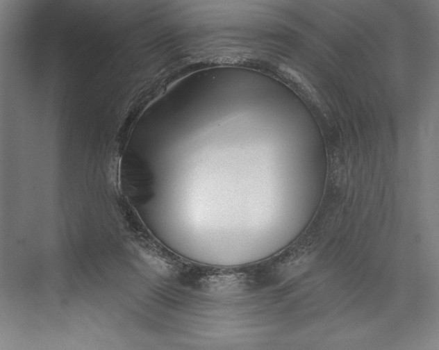 X0000073460307200608111517