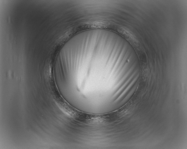 X0000073460310200608111517