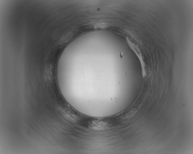 X0000073460311200608111517