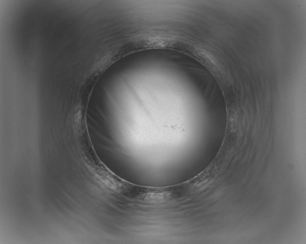 X0000073460314200608111517