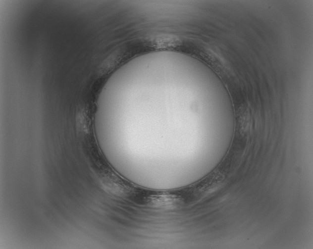 X0000073460316200608111517