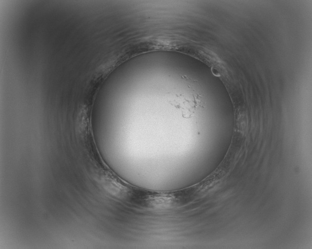 X0000073460318200608111517