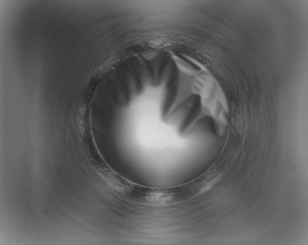 X0000073460319200608111517