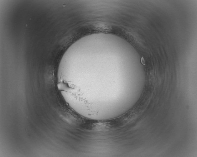 X0000073460320200608111517