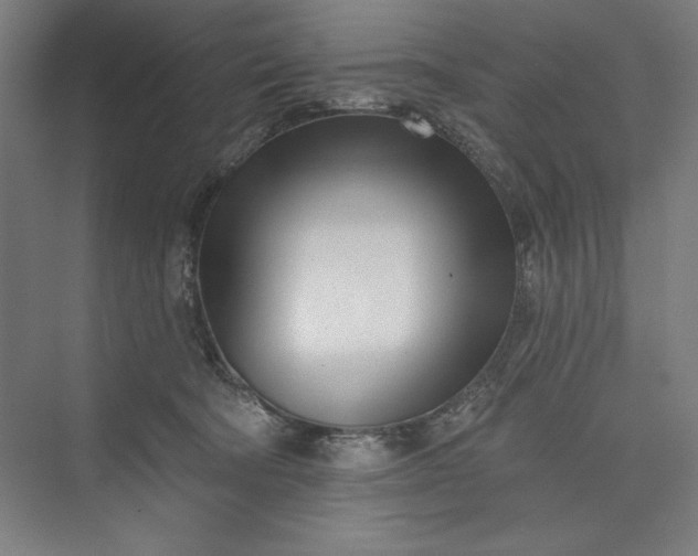 X0000073460322200608111517