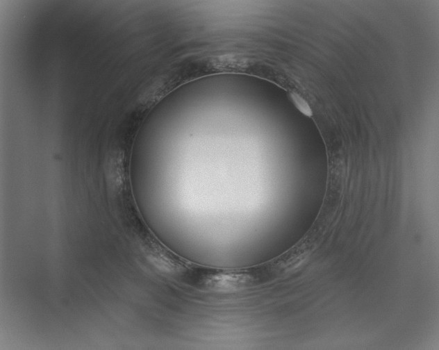 X0000073460323200608111517