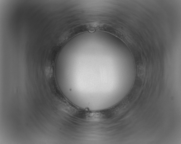 X0000073460324200608111517