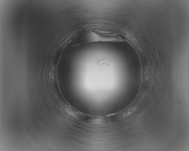 X0000073460325200608111517