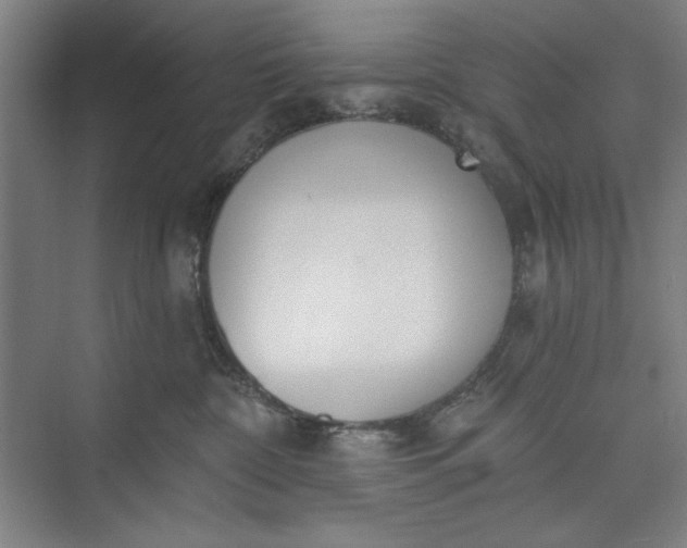 X0000073460332200608111516