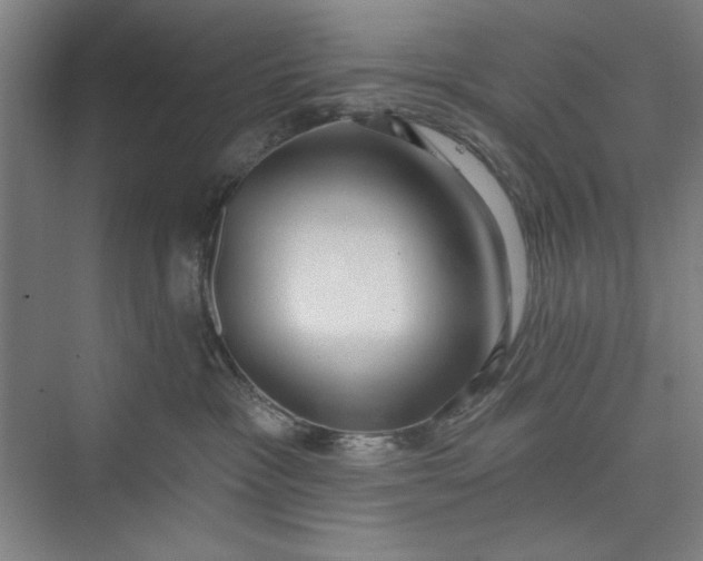 X0000073460333200608111516