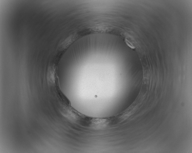 X0000073460334200608111516