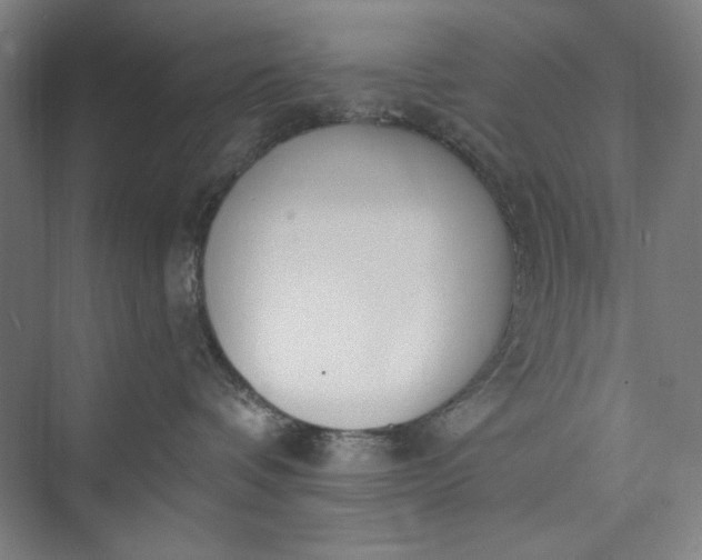 X0000073460336200608111516