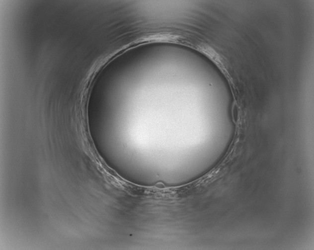 X0000073460337200608111516