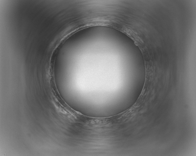 X0000073460338200608111516