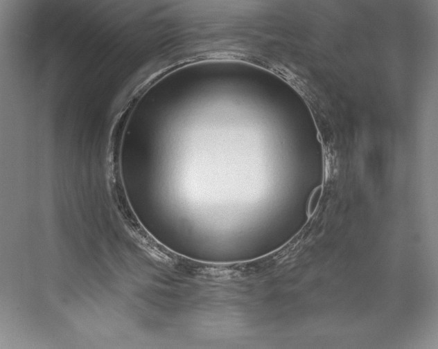 X0000073460339200608111516