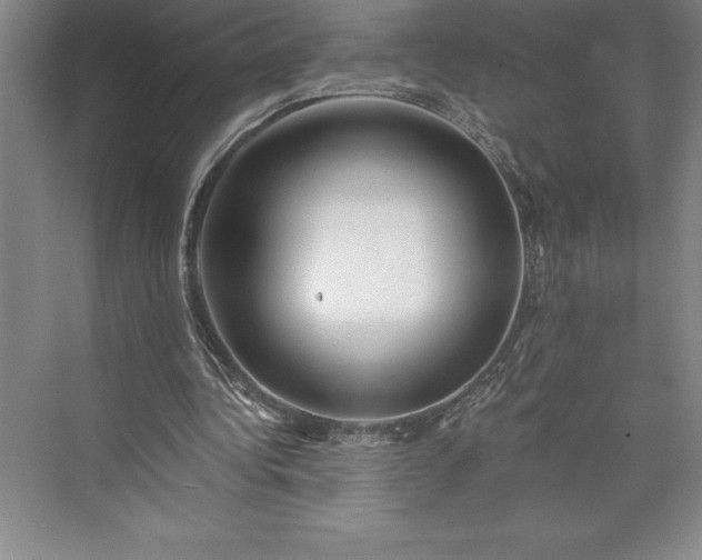 X0000073460340200608111516