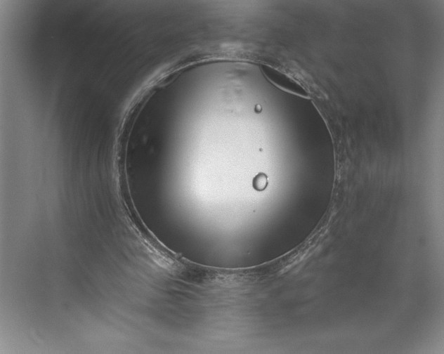 X0000073460341200608111516