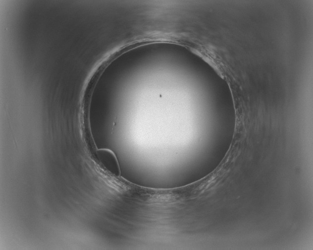 X0000073460342200608111516