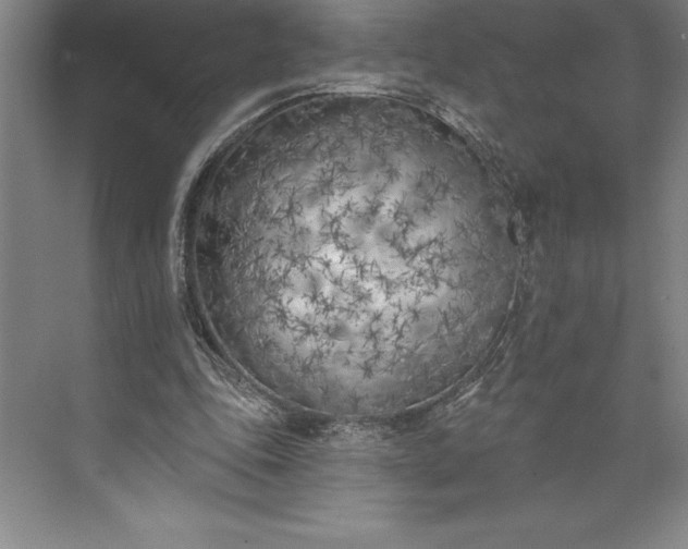 X0000073460343200608111516