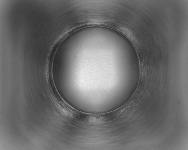 X0000073460346200608111516