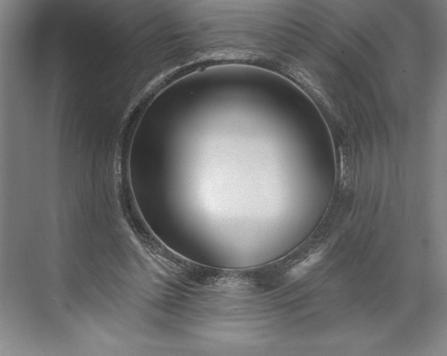 X0000073460348200608111516