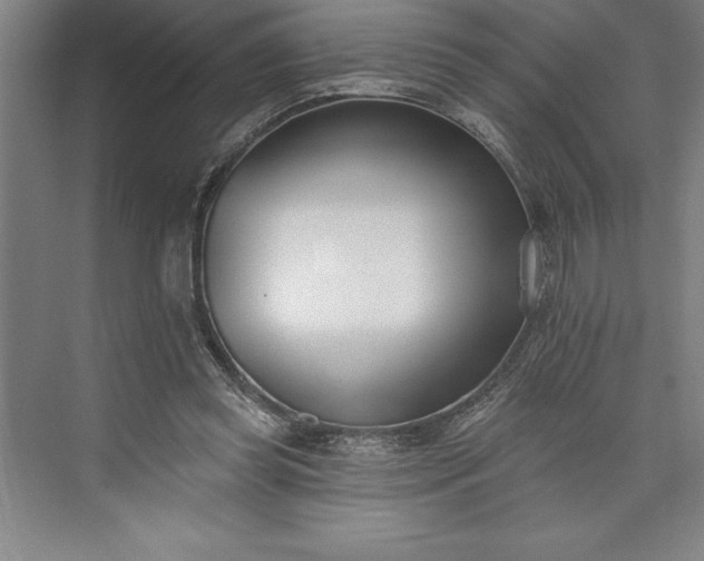 X0000073460349200608111516