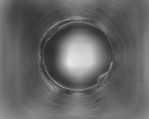 X0000073460350200608111516