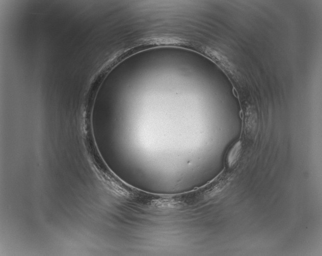 X0000073460351200608111516