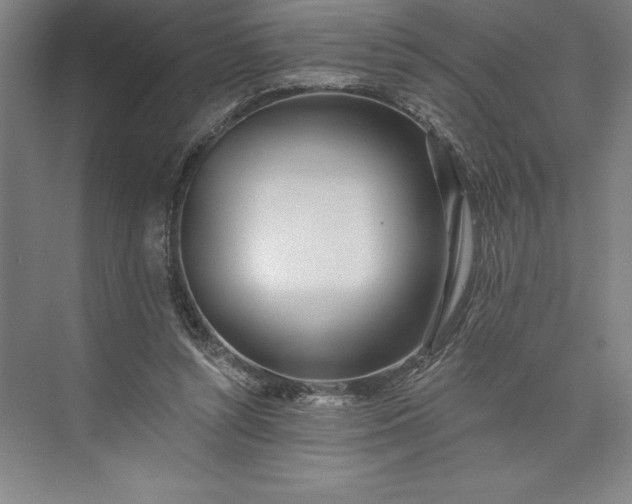 X0000073460352200608111516