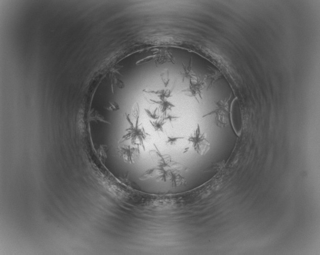 X0000073460353200608111516