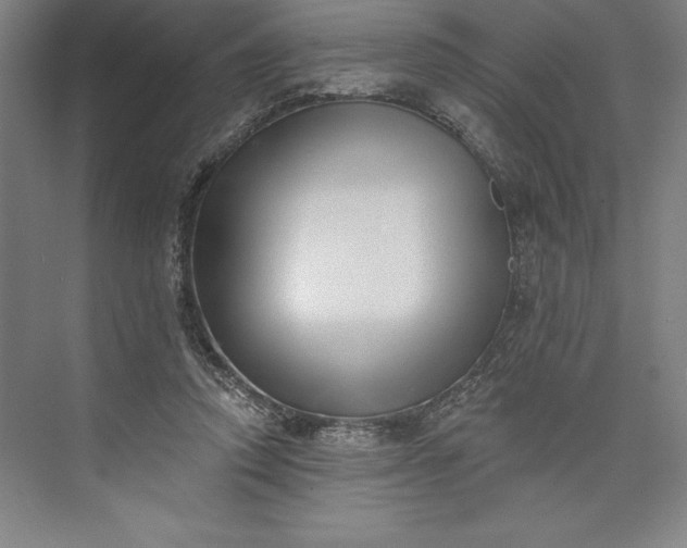 X0000073460354200608111516