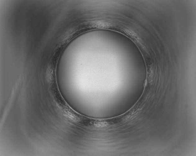 X0000073460355200608111516