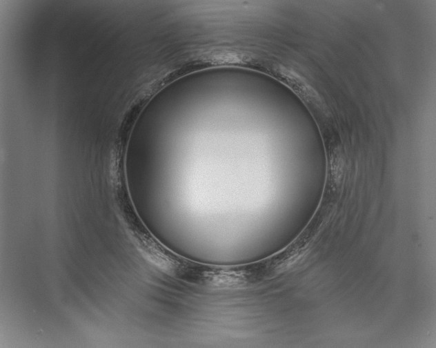 X0000073460359200608111516