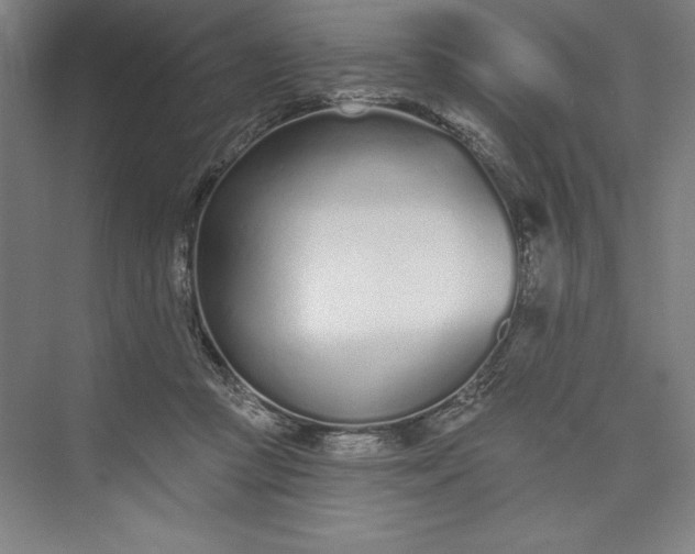 X0000073460361200608111516