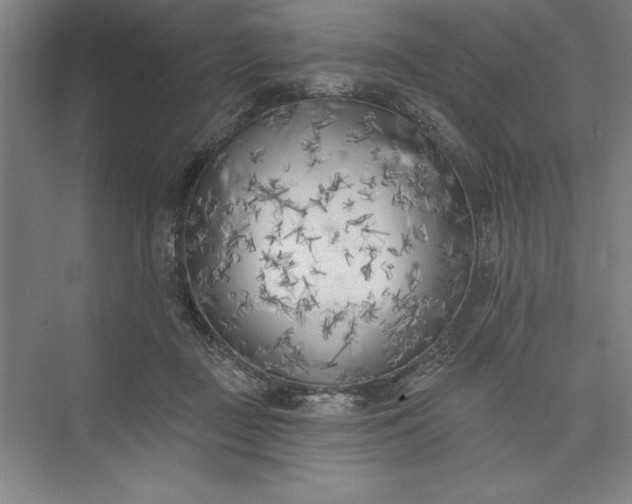 X0000073460363200608111516