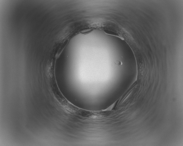 X0000073460364200608111516