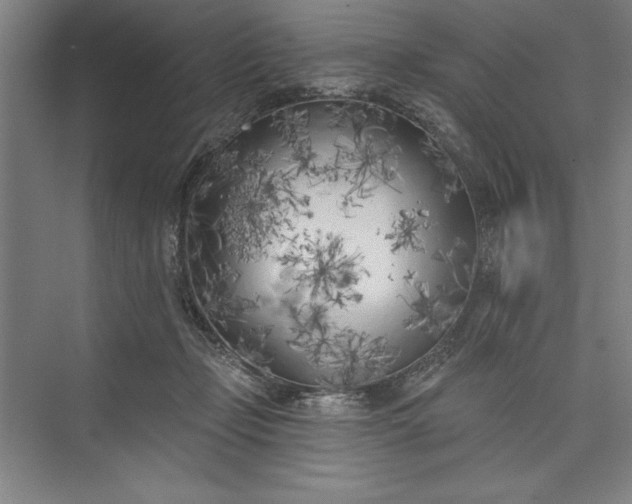 X0000073460365200608111516