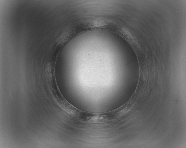 X0000073460366200608111516