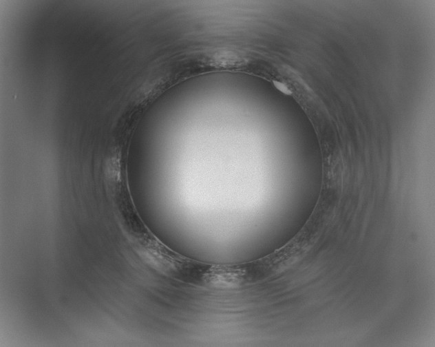 X0000073460368200608111516