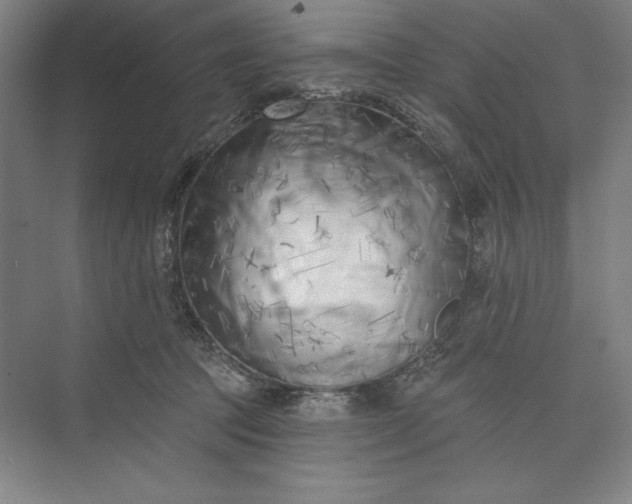 X0000073460369200608111516