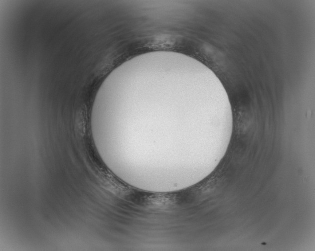 X0000073460370200608111516