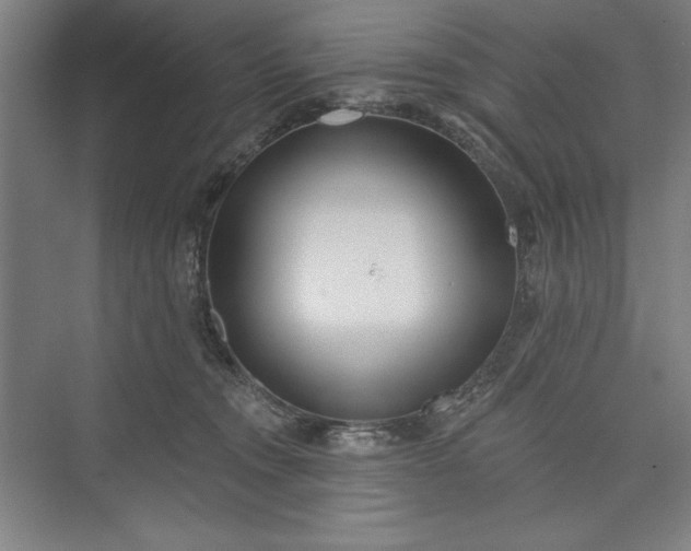 X0000073460372200608111516