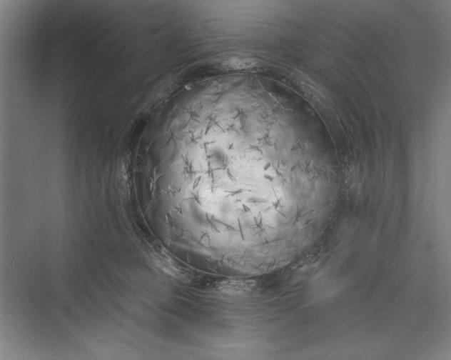 X0000073460373200608111516