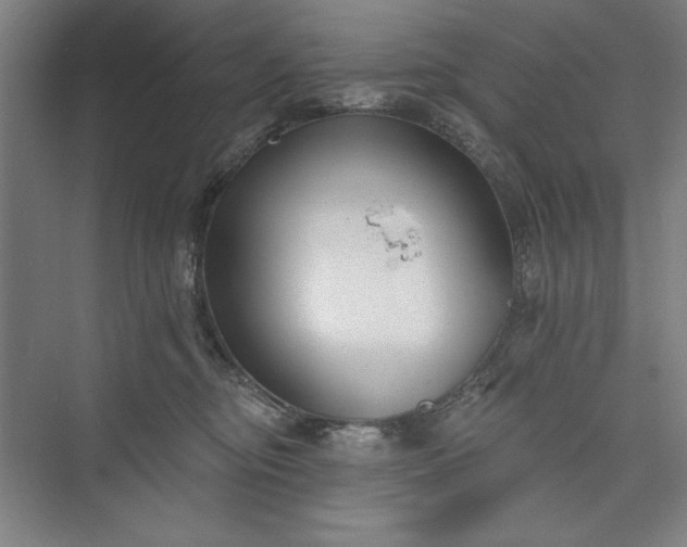 X0000073460374200608111516