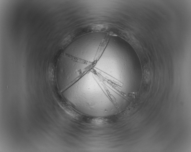 X0000073460375200608111516